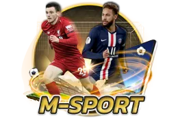 m sport
